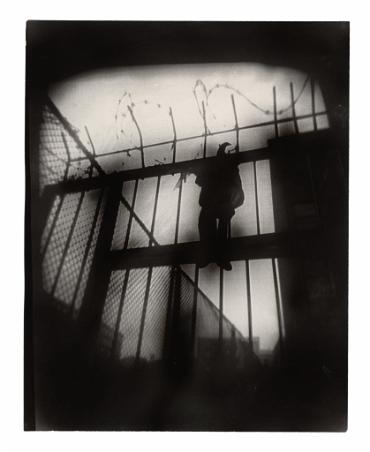 Fence Puppet