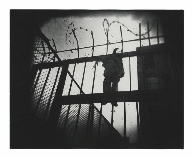 Fence Puppet