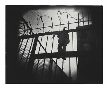 Fence Puppet